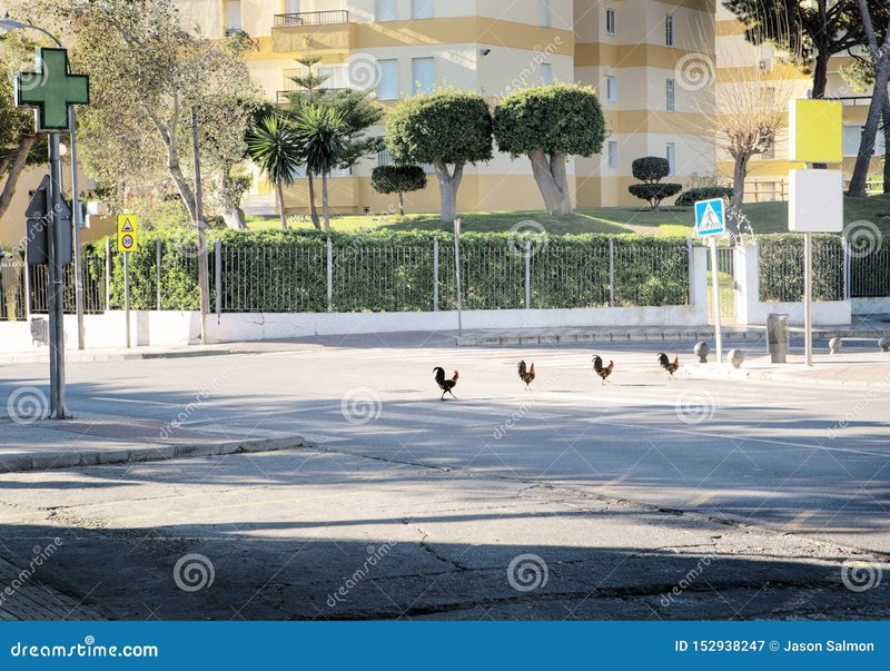 Spain - chicken road oficial